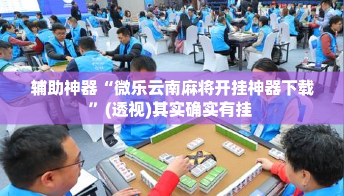 辅助神器“微乐云南麻将开挂神器下载”(透视)其实确实有挂 