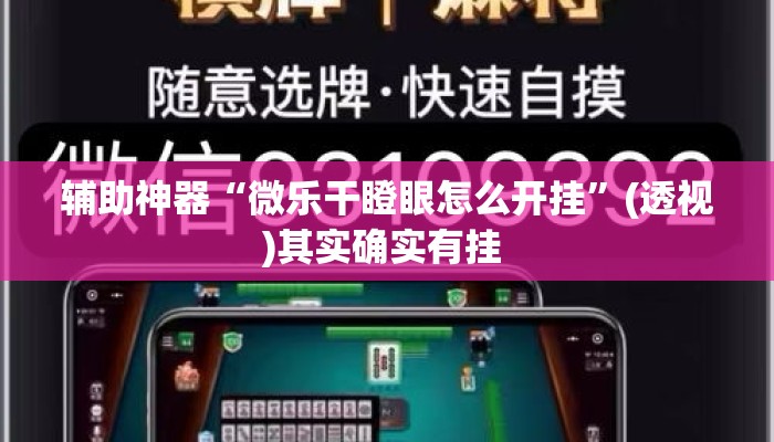 辅助神器“微乐干瞪眼怎么开挂”(透视)其实确实有挂 