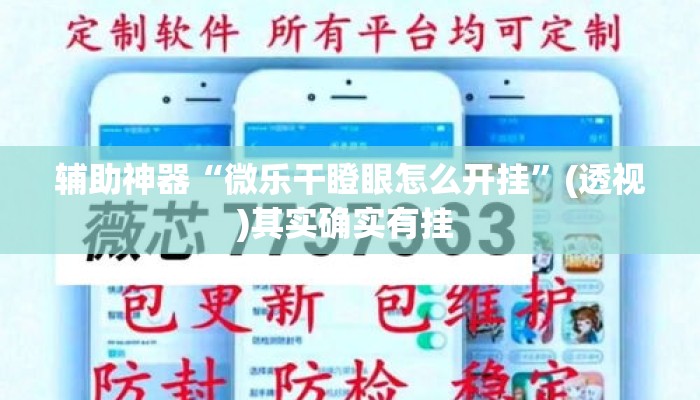 辅助神器“微乐干瞪眼怎么开挂	”(透视)其实确实有挂 