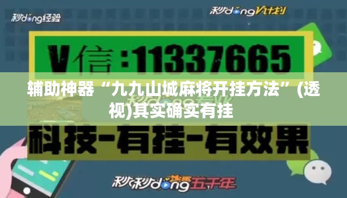 辅助神器“九九山城麻将开挂方法	”(透视)其实确实有挂 