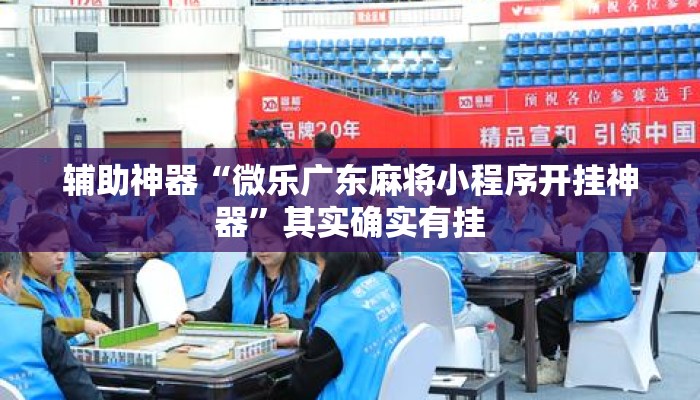 辅助神器“微乐广东麻将小程序开挂神器”其实确实有挂