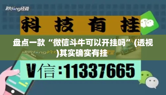盘点一款“微信斗牛可以开挂吗	”(透视)其实确实有挂 
