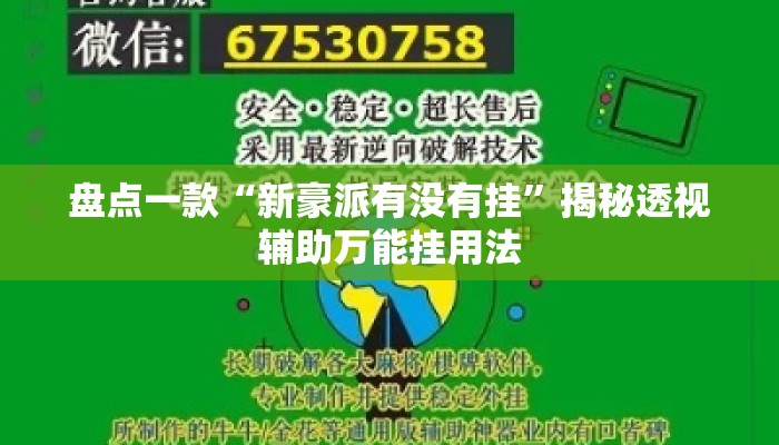 盘点一款“新豪派有没有挂”揭秘透视辅助万能挂用法