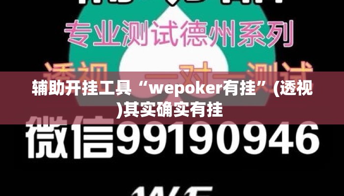 辅助开挂工具“wepoker有挂”(透视)其实确实有挂 