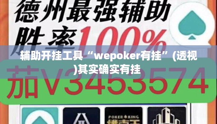 辅助开挂工具“wepoker有挂”(透视)其实确实有挂 
