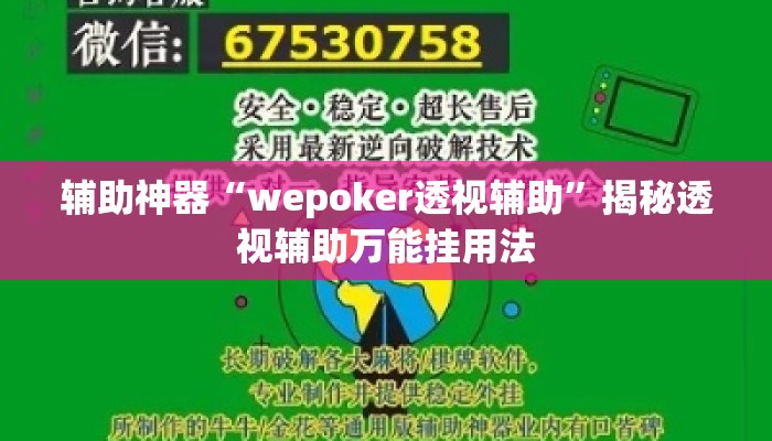 辅助神器“wepoker透视辅助”揭秘透视辅助万能挂用法
