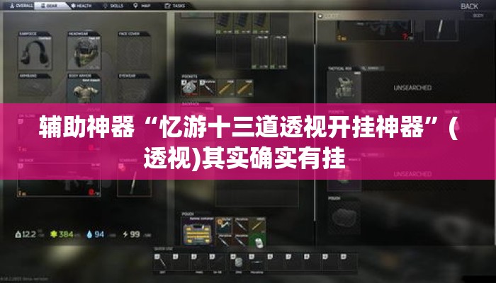 辅助神器“忆游十三道透视开挂神器	”(透视)其实确实有挂 