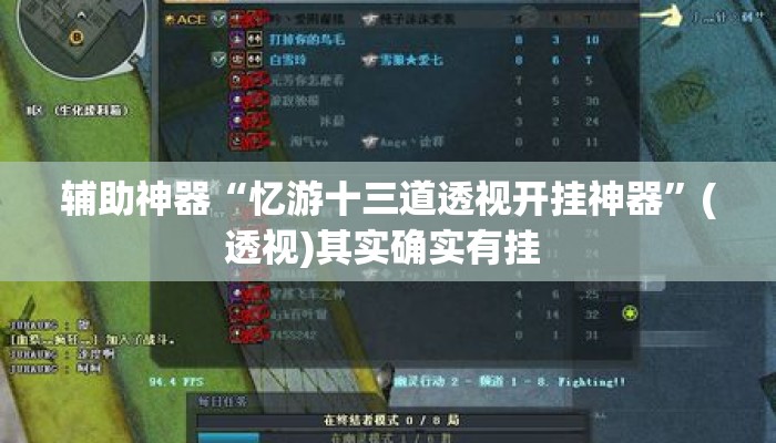 辅助神器“忆游十三道透视开挂神器	”(透视)其实确实有挂 
