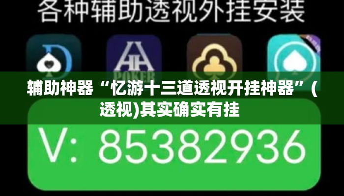 辅助神器“忆游十三道透视开挂神器	”(透视)其实确实有挂 