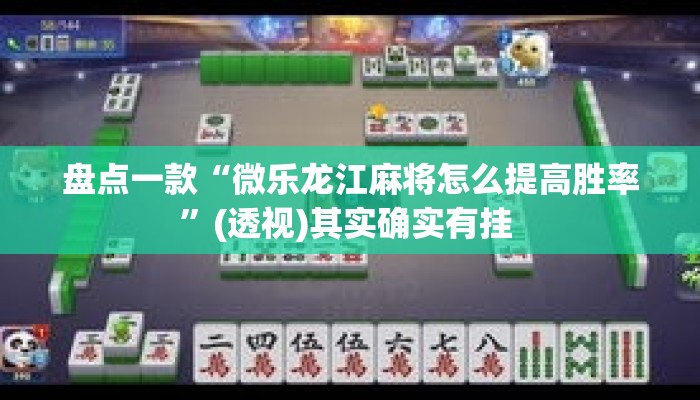 盘点一款“微乐龙江麻将怎么提高胜率”(透视)其实确实有挂 