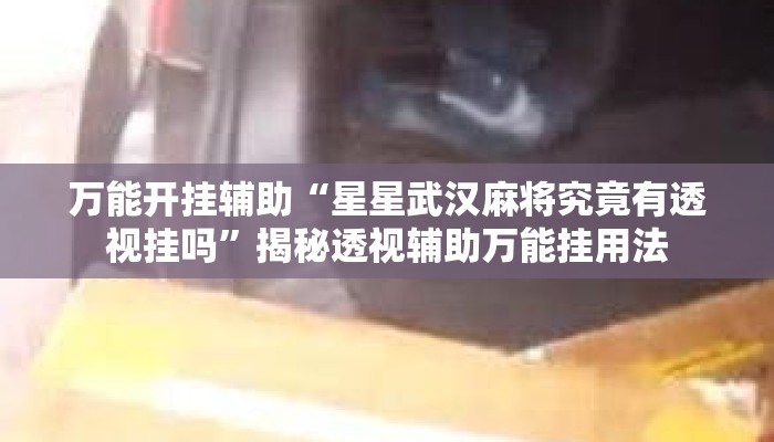 万能开挂辅助“星星武汉麻将究竟有透视挂吗	”揭秘透视辅助万能挂用法
