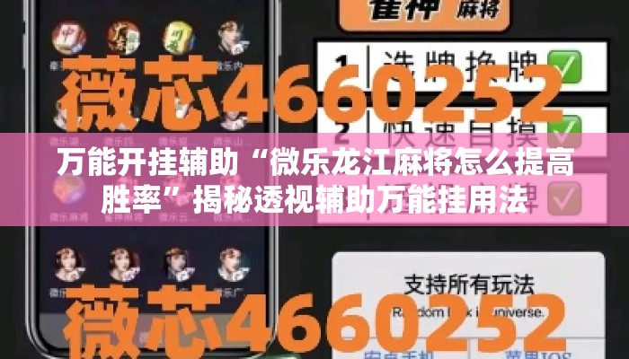 万能开挂辅助“微乐龙江麻将怎么提高胜率”揭秘透视辅助万能挂用法