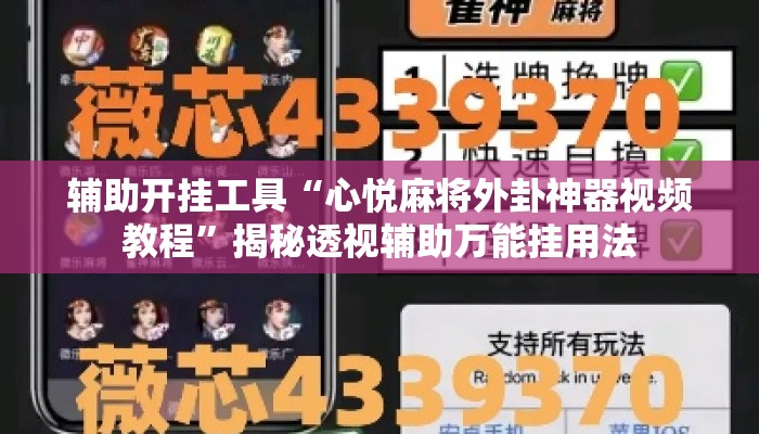 辅助开挂工具“心悦麻将外卦神器视频教程”揭秘透视辅助万能挂用法