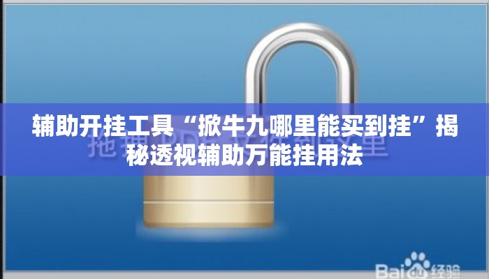 辅助开挂工具“掀牛九哪里能买到挂”揭秘透视辅助万能挂用法
