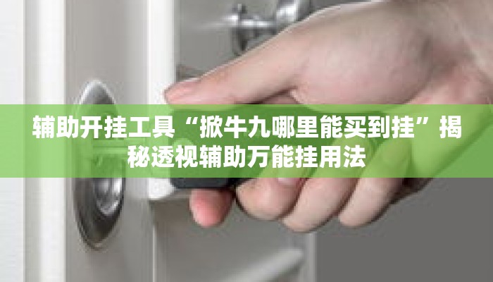 辅助开挂工具“掀牛九哪里能买到挂	”揭秘透视辅助万能挂用法
