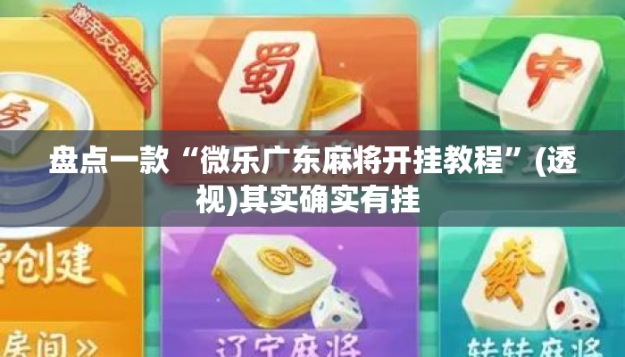 盘点一款“微乐广东麻将开挂教程”(透视)其实确实有挂 