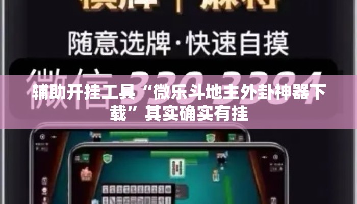 辅助开挂工具“微乐斗地主外卦神器下载”其实确实有挂