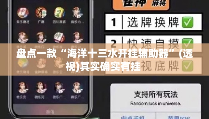 盘点一款“海洋十三水开挂辅助器”(透视)其实确实有挂 