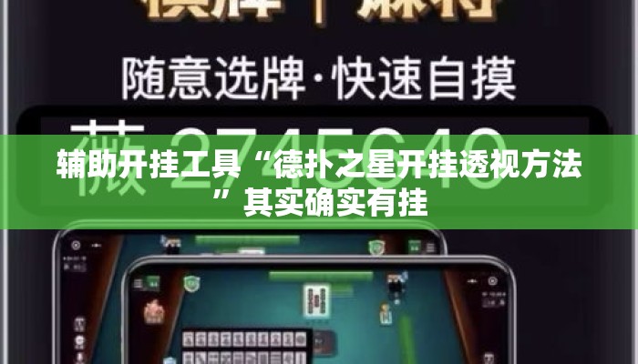 辅助开挂工具“德扑之星开挂透视方法”其实确实有挂