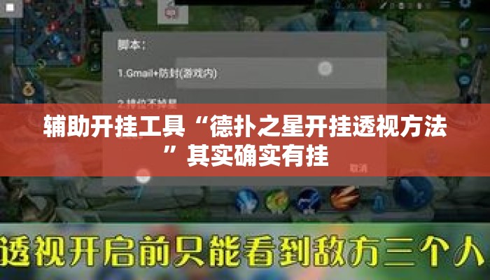 辅助开挂工具“德扑之星开挂透视方法”其实确实有挂