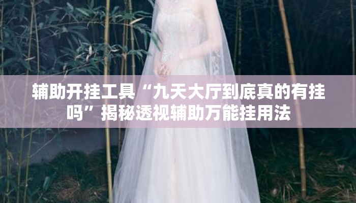 辅助开挂工具“九天大厅到底真的有挂吗”揭秘透视辅助万能挂用法