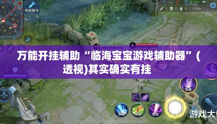 万能开挂辅助“临海宝宝游戏辅助器”(透视)其实确实有挂 