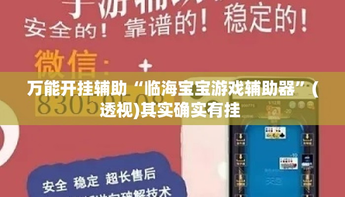 万能开挂辅助“临海宝宝游戏辅助器	”(透视)其实确实有挂 