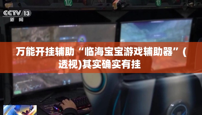 万能开挂辅助“临海宝宝游戏辅助器”(透视)其实确实有挂 