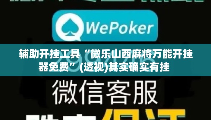 辅助开挂工具“微乐山西麻将万能开挂器免费”(透视)其实确实有挂 