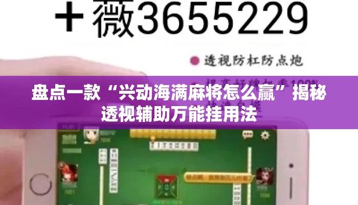 盘点一款“兴动海满麻将怎么赢”揭秘透视辅助万能挂用法