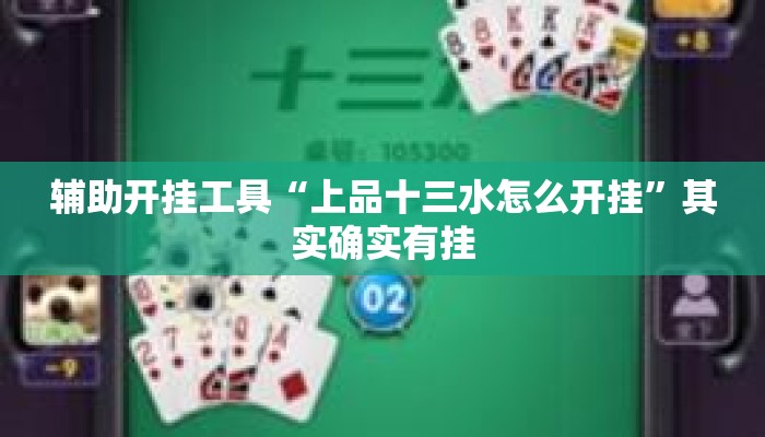 辅助开挂工具“上品十三水怎么开挂	”其实确实有挂
