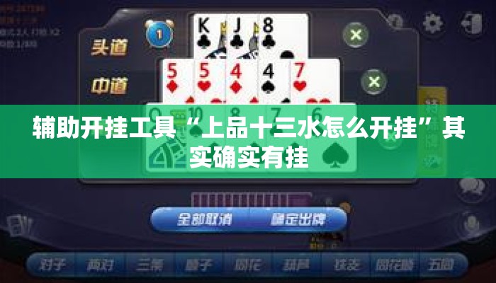 辅助开挂工具“上品十三水怎么开挂”其实确实有挂