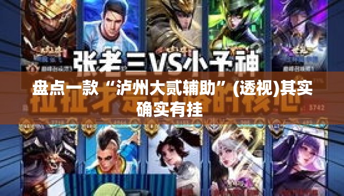 盘点一款“泸州大贰辅助”(透视)其实确实有挂 