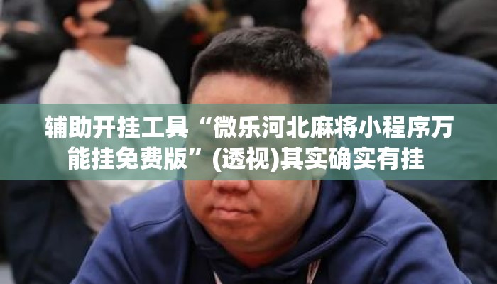 辅助开挂工具“微乐河北麻将小程序万能挂免费版”(透视)其实确实有挂 