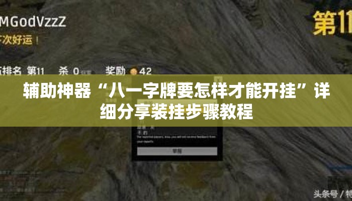 辅助神器“八一字牌要怎样才能开挂”详细分享装挂步骤教程