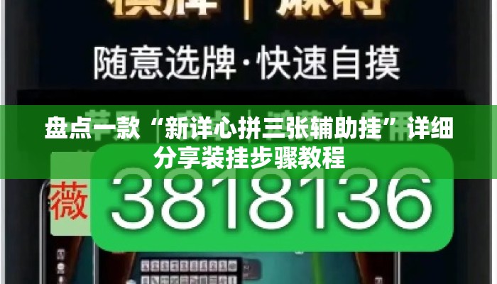 盘点一款“新详心拼三张辅助挂”详细分享装挂步骤教程