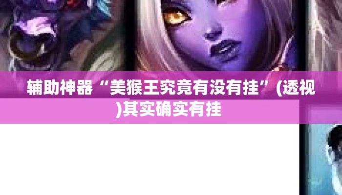 辅助神器“美猴王究竟有没有挂”(透视)其实确实有挂 