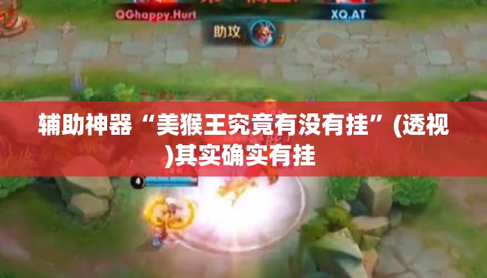 辅助神器“美猴王究竟有没有挂”(透视)其实确实有挂 