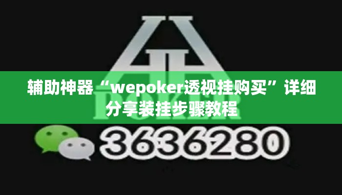 辅助神器“wepoker透视挂购买”详细分享装挂步骤教程