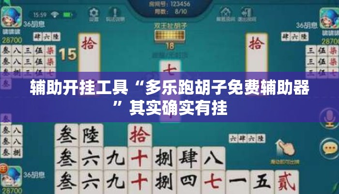 辅助开挂工具“多乐跑胡子免费辅助器”其实确实有挂