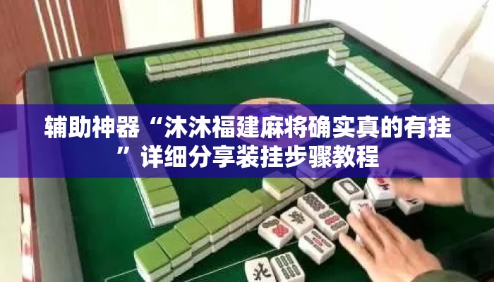 辅助神器“沐沐福建麻将确实真的有挂”详细分享装挂步骤教程