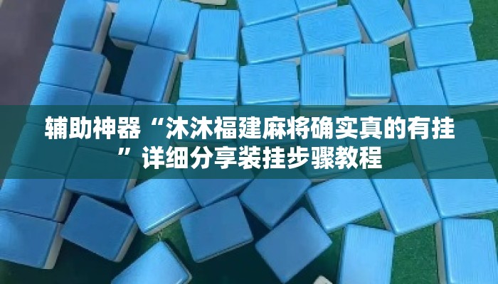 辅助神器“沐沐福建麻将确实真的有挂”详细分享装挂步骤教程