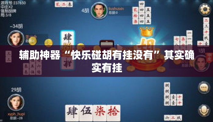 辅助神器“快乐碰胡有挂没有”其实确实有挂