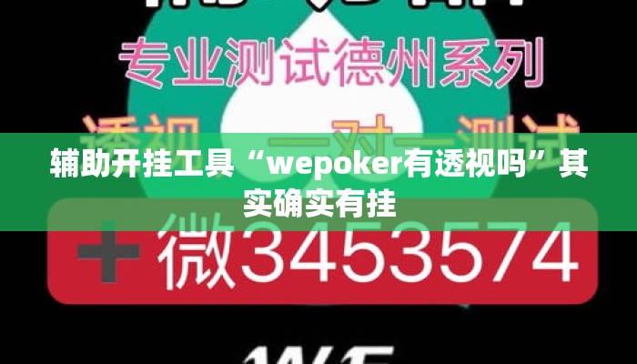 辅助开挂工具“wepoker有透视吗”其实确实有挂