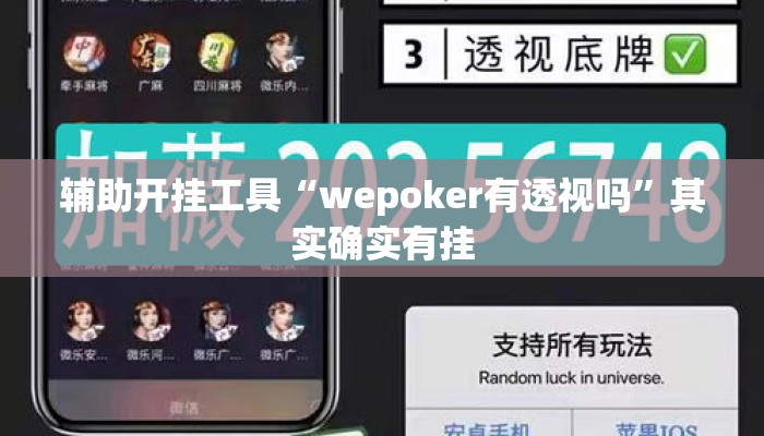 辅助开挂工具“wepoker有透视吗	”其实确实有挂
