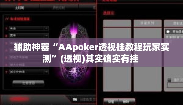 辅助神器“AApoker透视挂教程玩家实测”(透视)其实确实有挂 