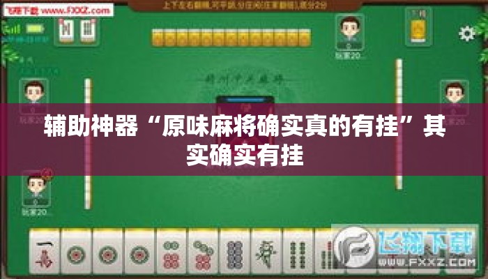 辅助神器“原味麻将确实真的有挂”其实确实有挂