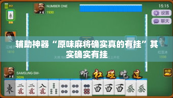 辅助神器“原味麻将确实真的有挂”其实确实有挂