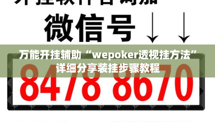 万能开挂辅助“wepoker透视挂方法	”详细分享装挂步骤教程