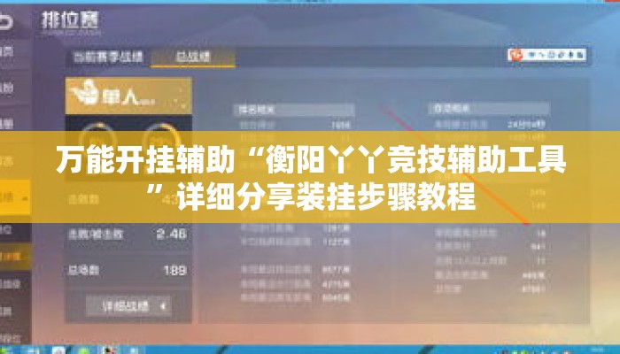 万能开挂辅助“衡阳丫丫竞技辅助工具	”详细分享装挂步骤教程